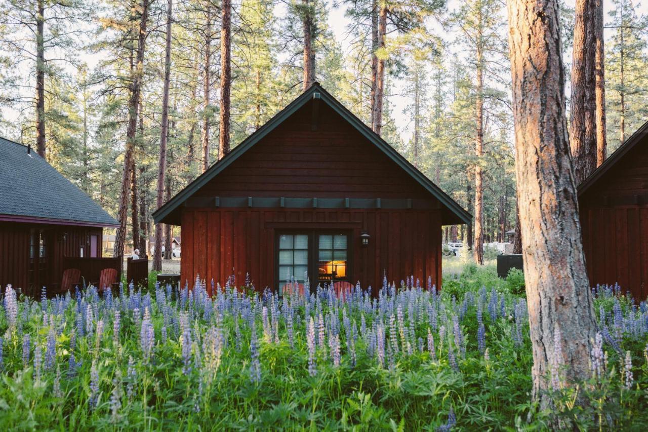 Fivepine Lodge Sisters Ngoại thất bức ảnh