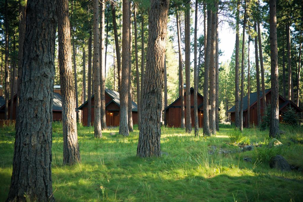 Fivepine Lodge Sisters Ngoại thất bức ảnh